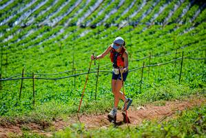 BIB: 
                            <button type="button" onclick="openModal(19164751)" class="btn btn-primary btn-sm float-right btn-popup" data-toggle="modal" data-target=".modal-high-quality">
                        <i class="fas fa-shopping-cart"></i> Add to Cart
                    </button>
                                            <button type="button" onclick="isThisMe(19164751, true)" class="btn btn-success btn-sm float-right btn-popup btn-isme hidden" data-toggle="tooltip" data-placement="bottom" title="นี่คือรูปของคุณใช่ไหม คลิกที่นี่เพื่อเอาเข้าอัลบั้ม">
                        <i class="fas fa-plus"></i> Add to album
                    </button>
                    <button type="button" onclick="isThisMe(19164751, false)" class="btn btn-warning btn-sm float-right btn-popup btn-isnotme hidden">
                        <i class="fas fa-ban"></i> Remove from album
                    </button>